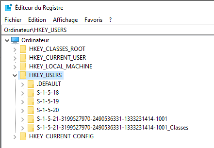 Capture d'écran de l'éditeur de registre Windows